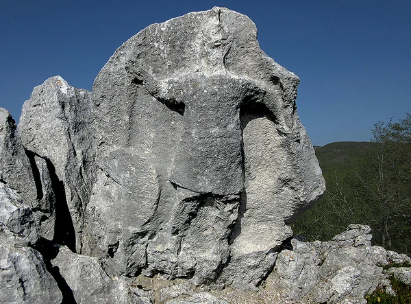 Guerriero Antece arte rupestre lucana Costa Palomba Alburni