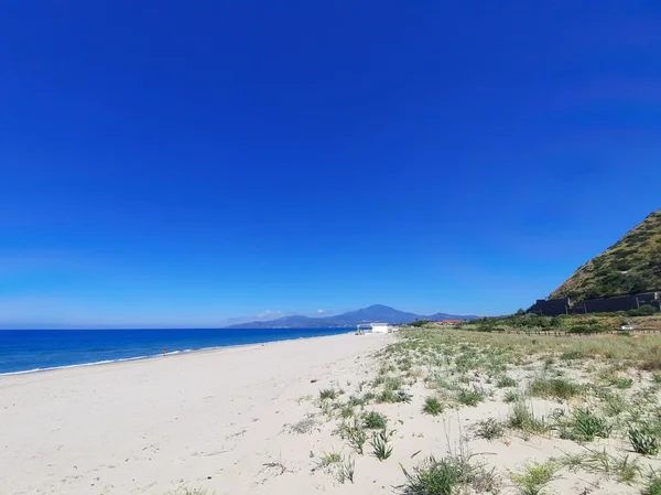 Immagine per Le Spiagge del Cilento per Famiglie e Amici a 4 Zampe: Guida Completa