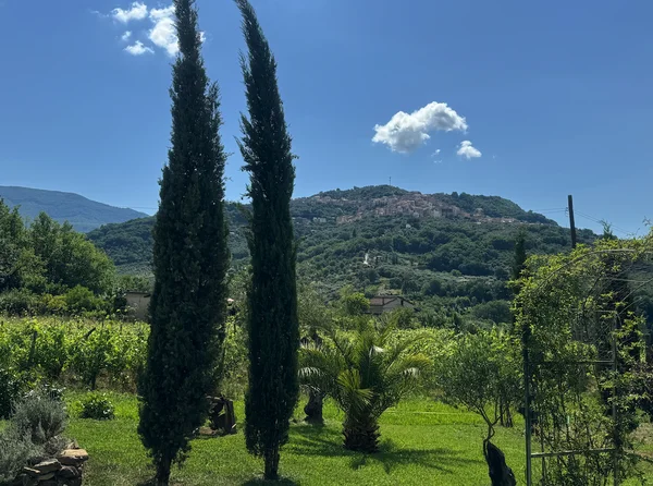 Immagine per I Borghi Cilentani Nascosti: Tesori Segreti nel Cuore della Campania