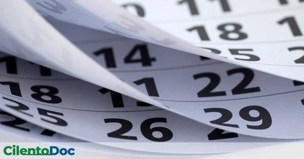 Immagine per Sagre del Cilento ad Agosto 2025: Il Calendario Completo per un Viaggio tra Sapori e Tradizioni