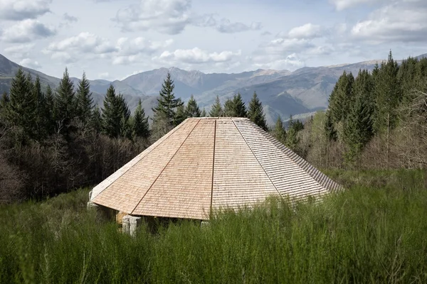 Immagine per Finalmente Riaperto: Il Parco dell Anfiteatro di Arezzo che Tutti Aspettavano nel Cuore Verde della Toscana