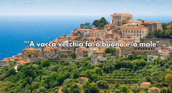 Immagine per 10 Detti Cilentani Antichi che Pochi Conoscono ma Hanno un Valore Importante nel 2025