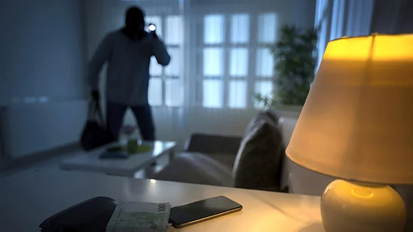 Immagine per Ogliastro Cilento, tentato furto a Eredita: ladri messi in fuga dall’allarme