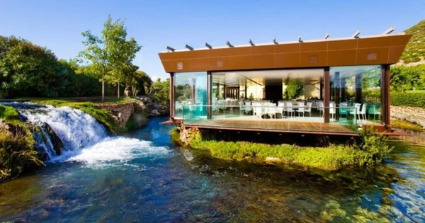 Immagine per l'articolo Cilento 2025: La Guida Completa ai Ristoranti Stellati tra Mare e Tradizione