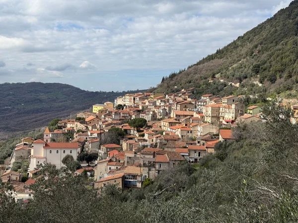 Immagine per Festa del Vitello a Ottati: appuntamento imperdibile il 2 e 3 agosto