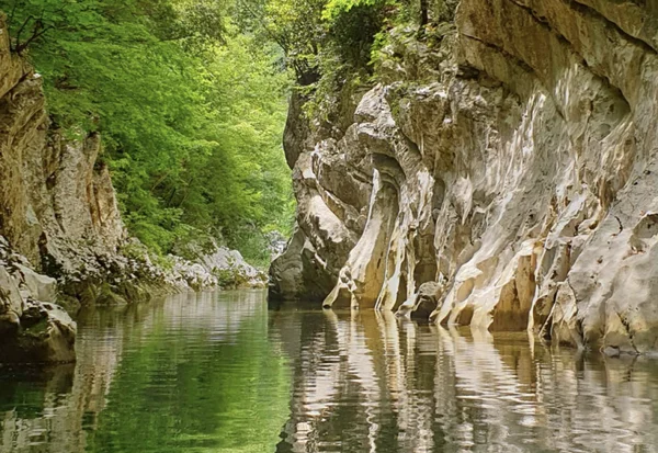 Flora e fauna delle Gole del Calore