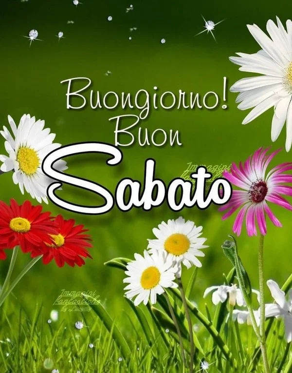 Buongiorno Cilento 9 Agosto 2025 - Detto autentico cilentano con paesaggio rurale