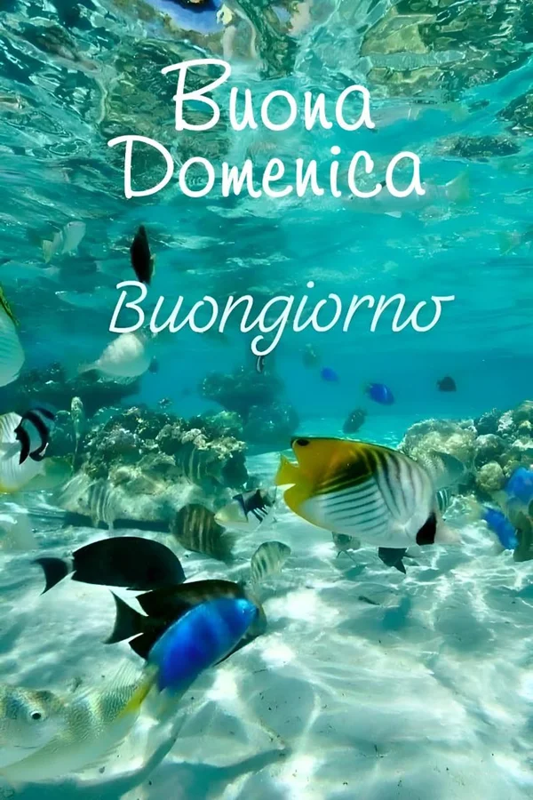 Buongiorno Cilento 24 Agosto 2025 - Detto autentico cilentano con paesaggio lacustre
