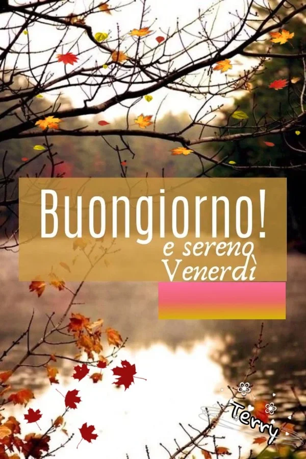 Buongiorno Cilento 4 Settembre 2025 - Detto autentico cilentano con paesaggio montano