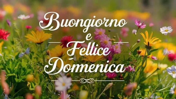 Buongiorno Cilento 7 Settembre 2025 - Detto autentico cilentano con paesaggio rurale