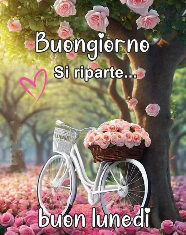 Buongiorno Cilento 25 Agosto 2025 - Detto autentico cilentano con paesaggio costiero