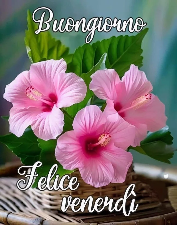 Buongiorno Cilento 5 Settembre 2025 - Detto autentico cilentano con paesaggio costiero