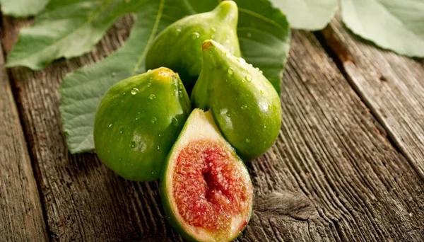 Proverbio del 20 August 2025