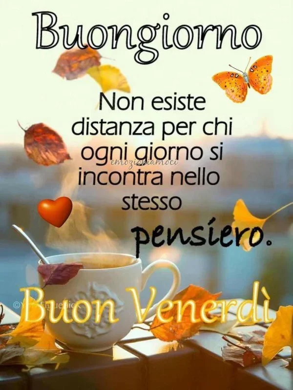 Buongiorno Cilento 4 Settembre 2025 - Detto autentico cilentano con paesaggio montano